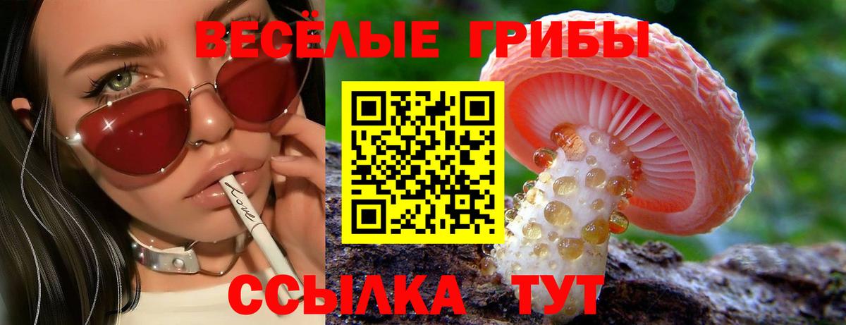 Галлюциногенные грибы MAGIC MUSHROOMS Сатка