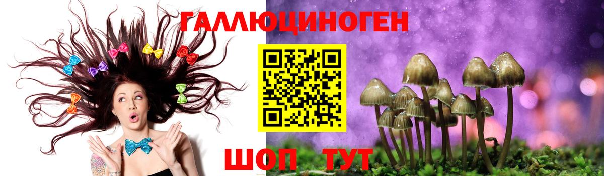 Псилоцибиновые грибы GOLDEN TEACHER  Вход с VPN  Сатка 